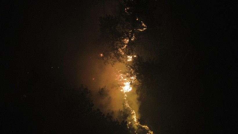 İki ilin ormanları yanıyor: Köyler boşaltıldı - Resim: 17