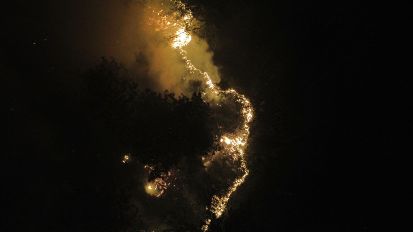 İki ilin ormanları yanıyor: Köyler boşaltıldı - Resim: 18