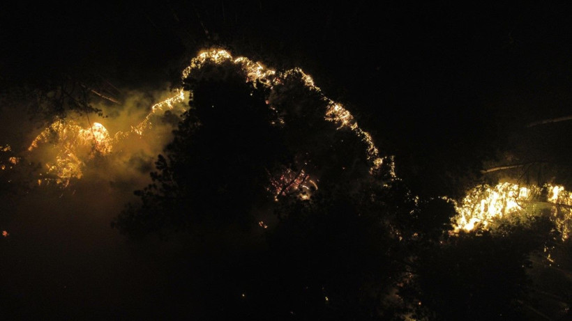 İki ilin ormanları yanıyor: Köyler boşaltıldı - Resim: 19