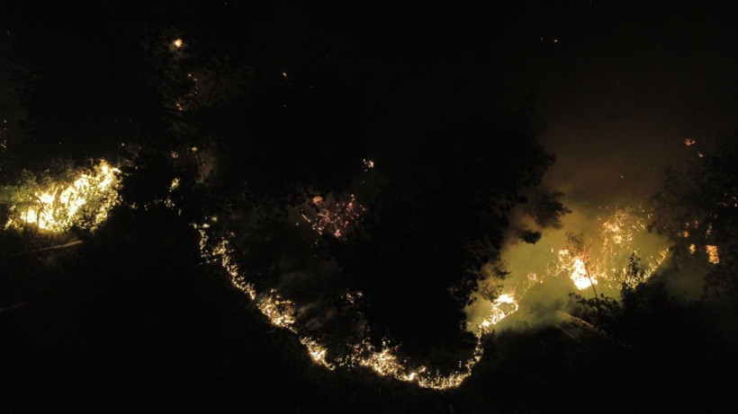 İki ilin ormanları yanıyor: Köyler boşaltıldı - Resim: 21