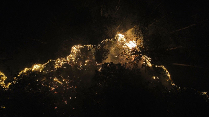 İki ilin ormanları yanıyor: Köyler boşaltıldı - Resim: 22