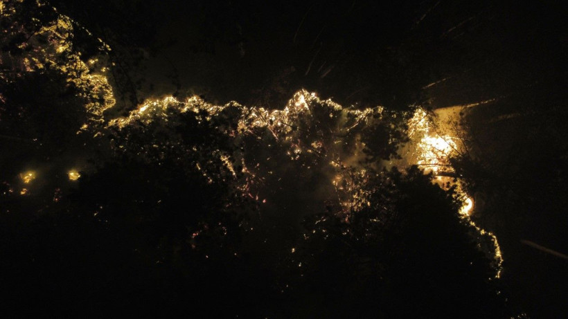 İki ilin ormanları yanıyor: Köyler boşaltıldı - Resim: 23