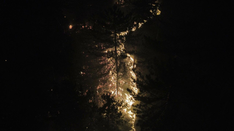 İki ilin ormanları yanıyor: Köyler boşaltıldı - Resim: 24