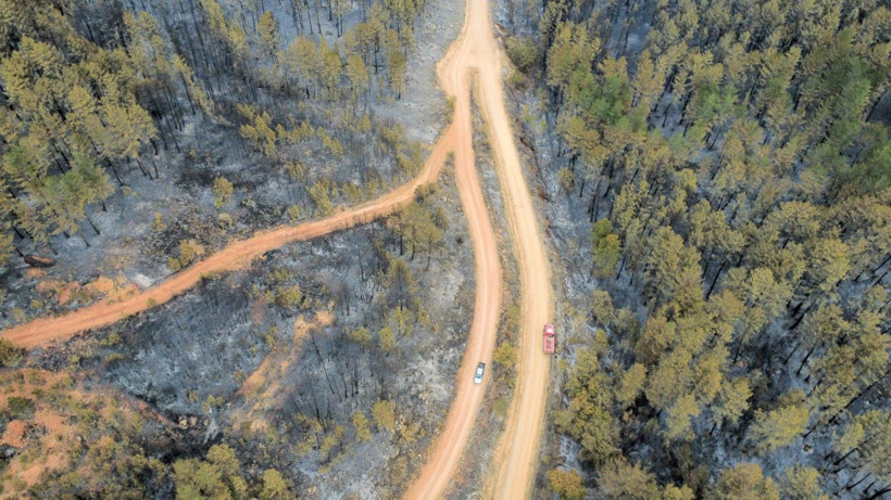 Karabük yangınından geriye yürek yakan görüntüler kaldı - Resim: 2