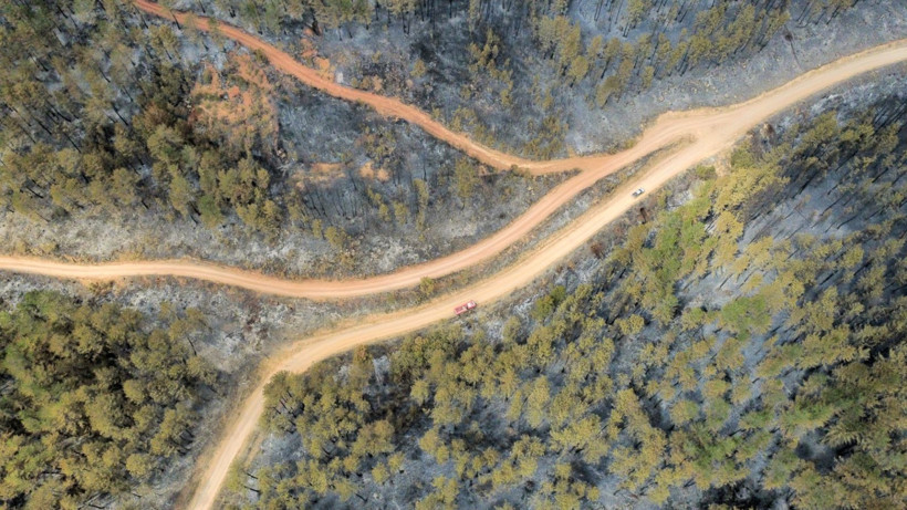 Karabük yangınından geriye yürek yakan görüntüler kaldı - Resim: 3