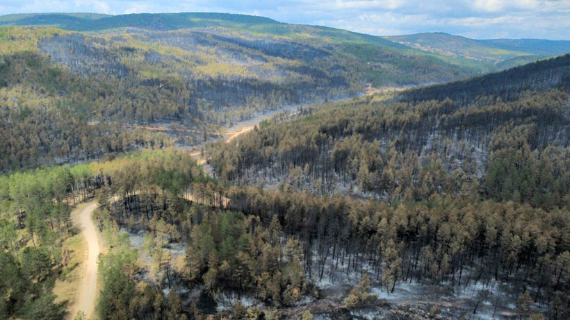 Karabük yangınından geriye yürek yakan görüntüler kaldı - Resim: 4