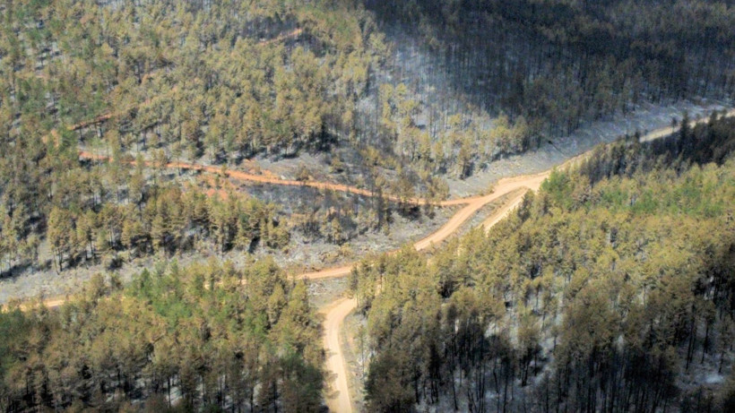 Karabük yangınından geriye yürek yakan görüntüler kaldı - Resim: 5