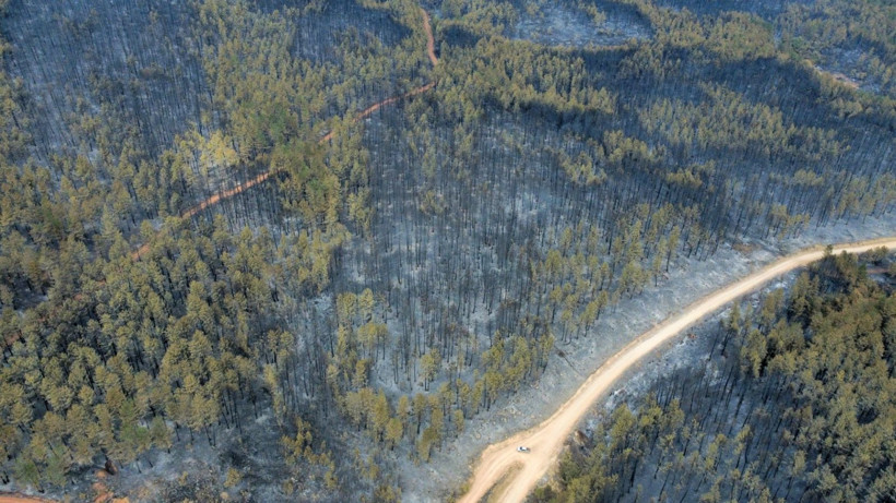 Karabük yangınından geriye yürek yakan görüntüler kaldı - Resim: 6
