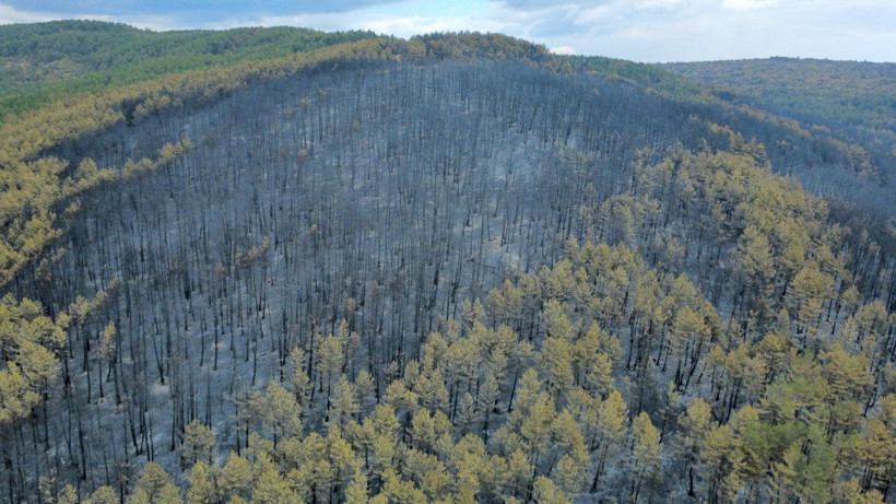 Karabük yangınından geriye yürek yakan görüntüler kaldı - Resim: 7