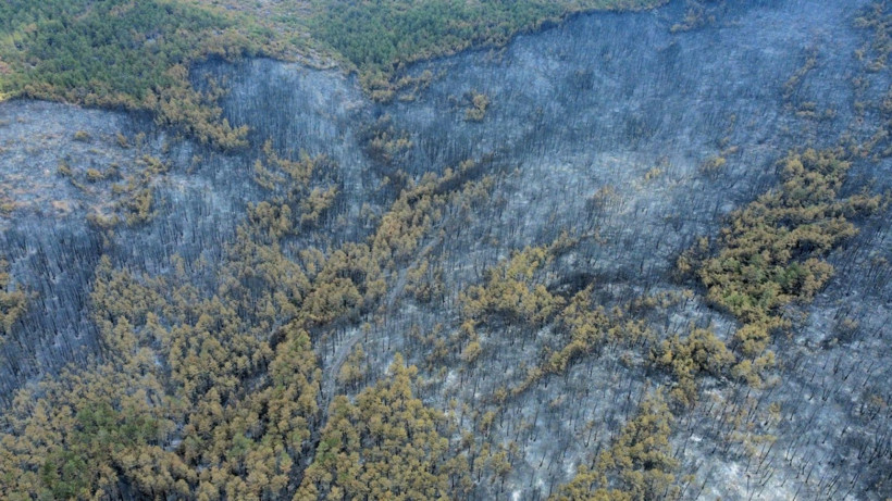 Karabük yangınından geriye yürek yakan görüntüler kaldı - Resim: 8