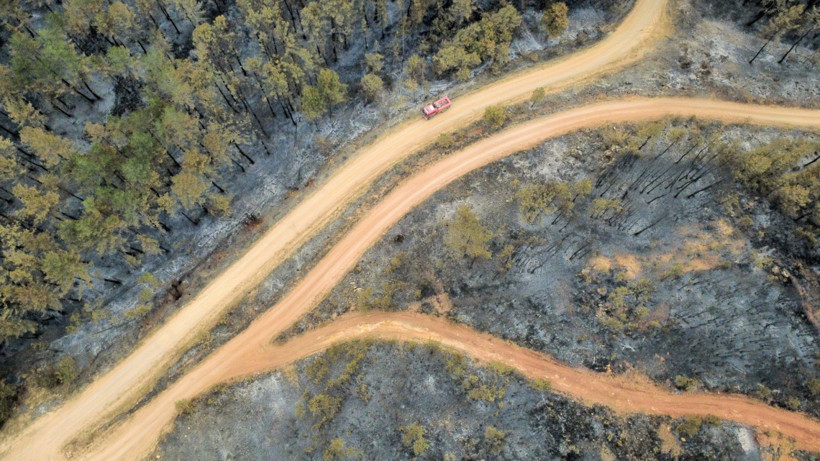 Karabük yangınından geriye yürek yakan görüntüler kaldı - Resim: 9