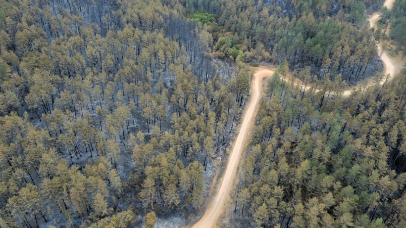Karabük yangınından geriye yürek yakan görüntüler kaldı - Resim: 10