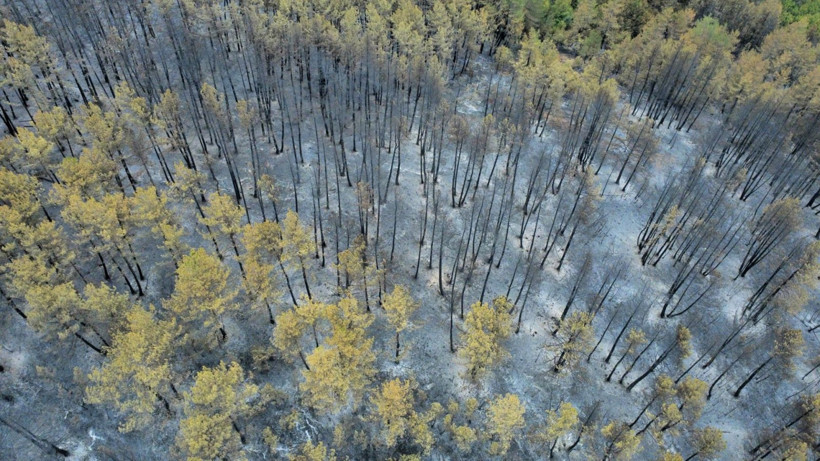 Karabük yangınından geriye yürek yakan görüntüler kaldı - Resim: 11