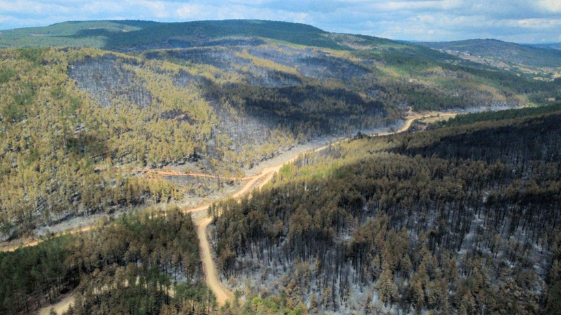 Karabük yangınından geriye yürek yakan görüntüler kaldı - Resim: 12