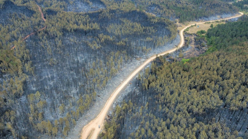 Karabük yangınından geriye yürek yakan görüntüler kaldı - Resim: 13