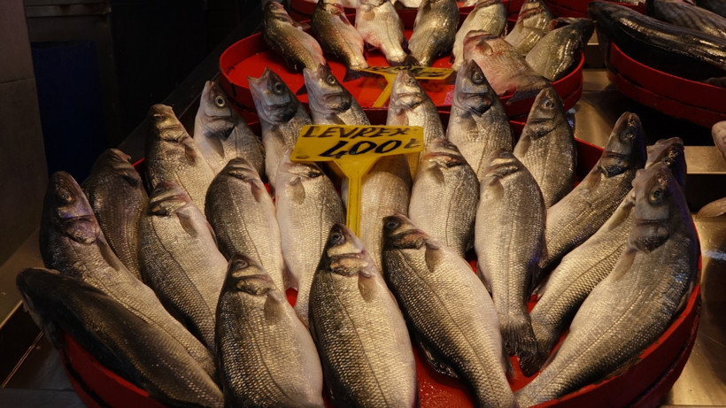 Tezgahlar istavritle doldu: İşte istavrit, mezgit, hamsi ve palamut fiyatı... - Resim : 1