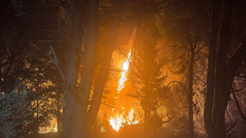 Alanya'da yangın yerleşim yerlerine ulaştı - Resim: 1