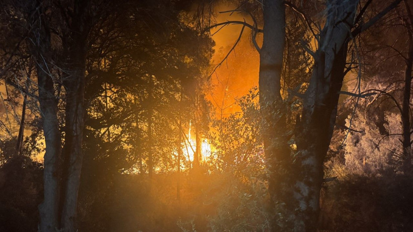Alanya'da yangın yerleşim yerlerine ulaştı - Resim: 2