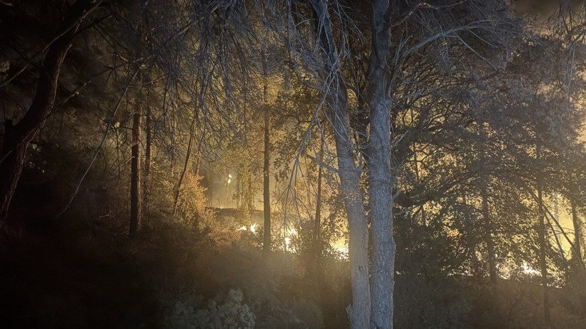 Alanya'da yangın yerleşim yerlerine ulaştı - Resim: 3