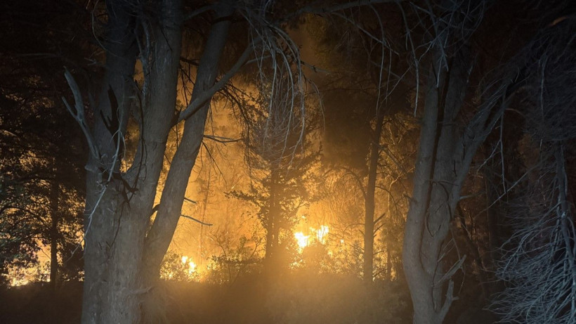 Alanya'da yangın yerleşim yerlerine ulaştı - Resim: 4