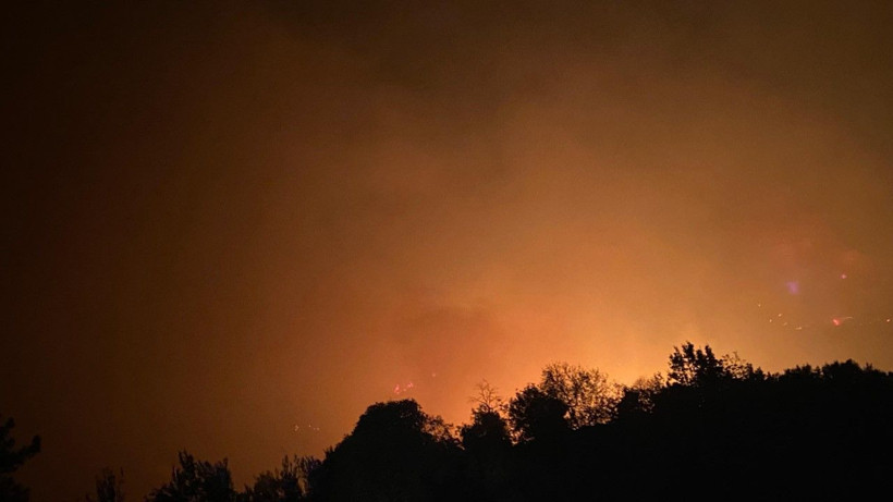 Alanya'da yangın yerleşim yerlerine ulaştı - Resim: 12