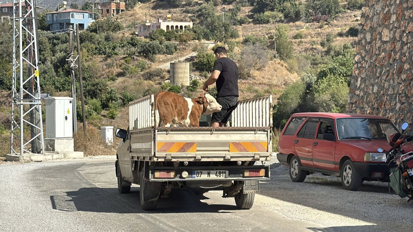 Alanya'da yangın yerleşim yerlerine ulaştı - Resim: 41
