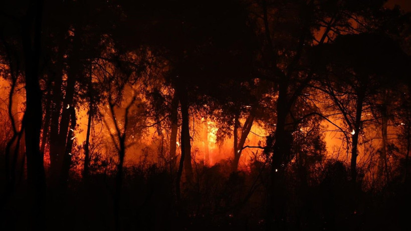 Antalya'da büyük orman yangını - Resim: 8