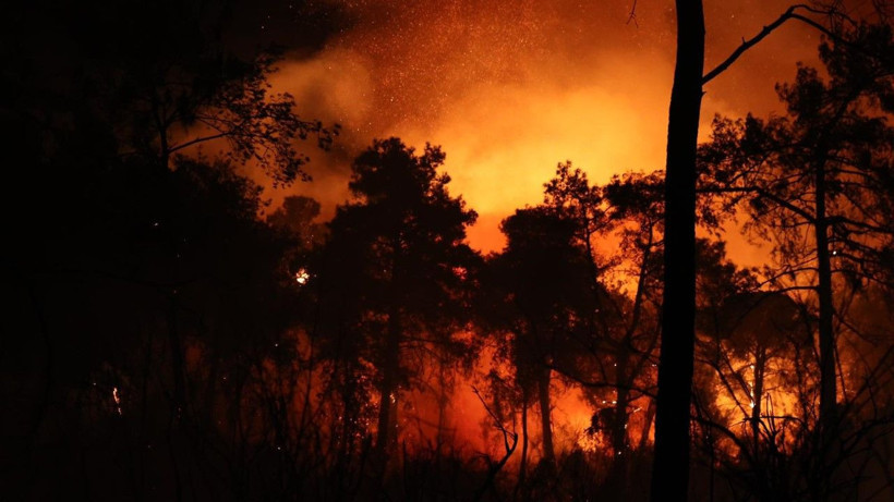 Antalya'da büyük orman yangını - Resim: 9