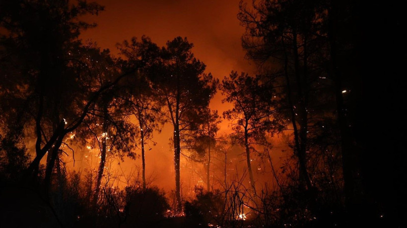Antalya'da büyük orman yangını - Resim: 10