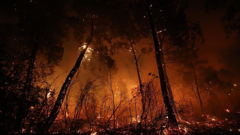 Antalya'da büyük orman yangını - Resim: 12