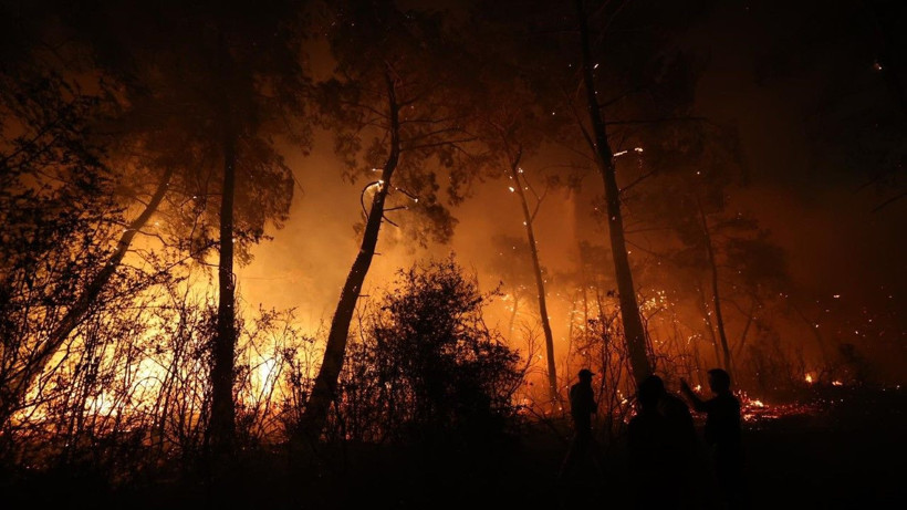Antalya'da büyük orman yangını - Resim: 16