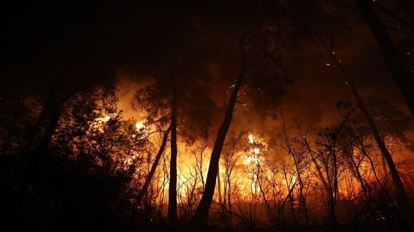 Antalya'da büyük orman yangını - Resim: 17