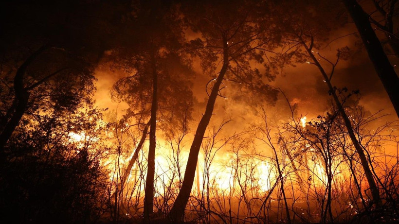 Antalya'da büyük orman yangını - Resim: 18
