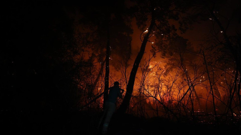 Antalya'da büyük orman yangını - Resim: 19