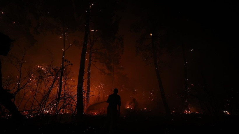 Antalya'da büyük orman yangını - Resim: 21