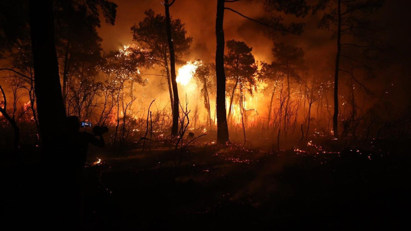 Antalya'da büyük orman yangını - Resim: 22
