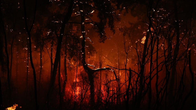 Antalya'da büyük orman yangını - Resim: 24