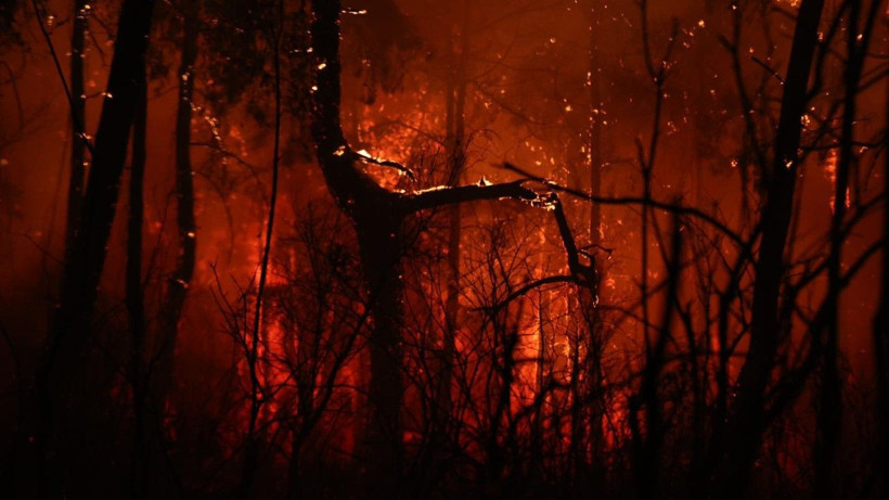 Antalya'da büyük orman yangını - Resim: 25