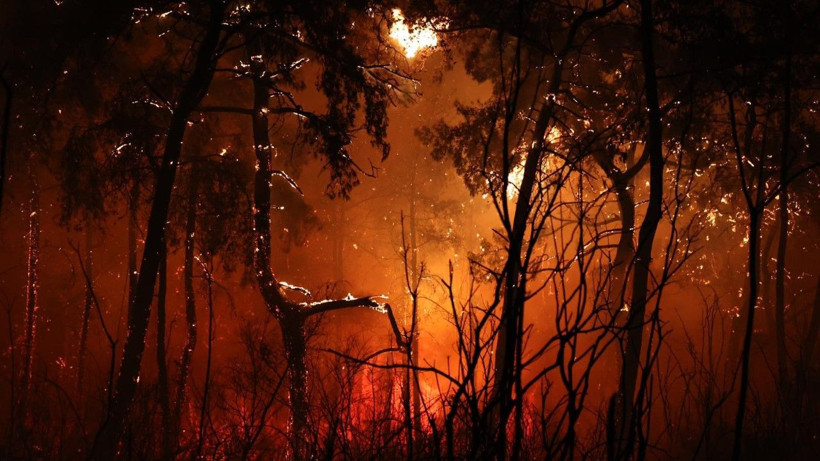 Antalya'da büyük orman yangını - Resim: 26