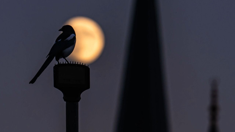 Ankara'da şişkin ay - Resim: 6