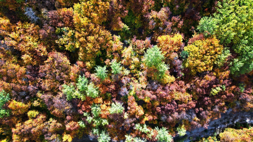 Sivas'ta masal geçidi - Resim: 3