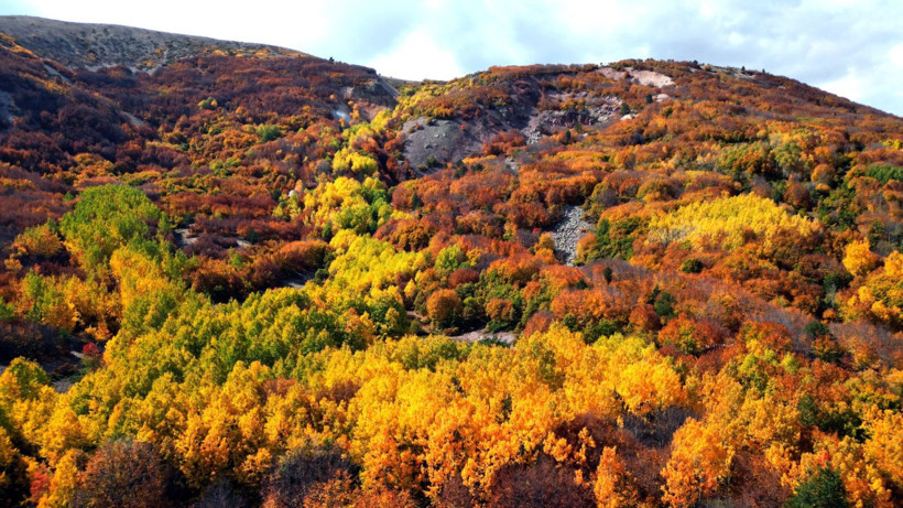 Sivas'ta masal geçidi - Resim: 5