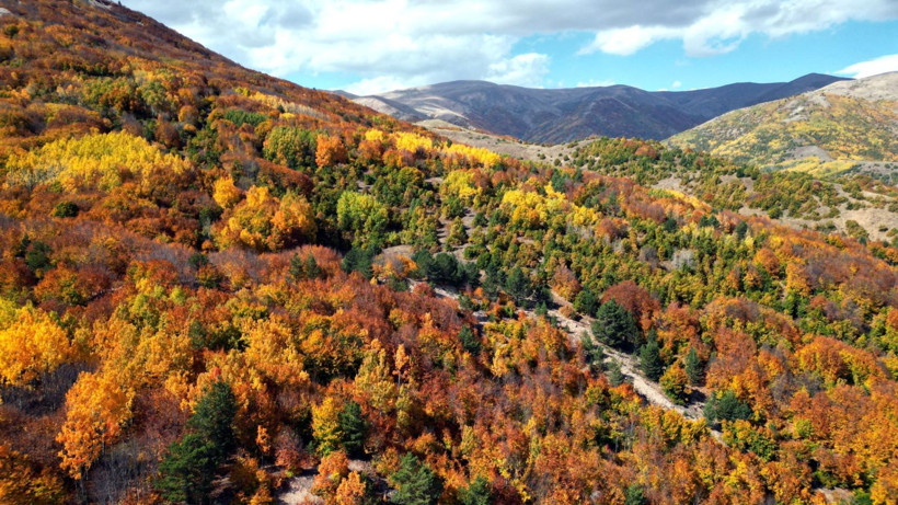 Sivas'ta masal geçidi - Resim: 6