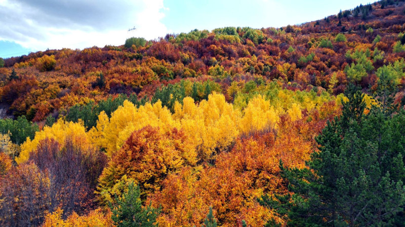 Sivas'ta masal geçidi - Resim: 7
