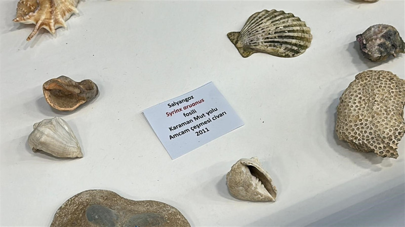 12 yaşında topladığı 5 bin fosille bilim müzesi kurdu - Resim : 1