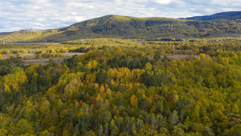 Bu yol sonbaharda bir başka - Resim: 2
