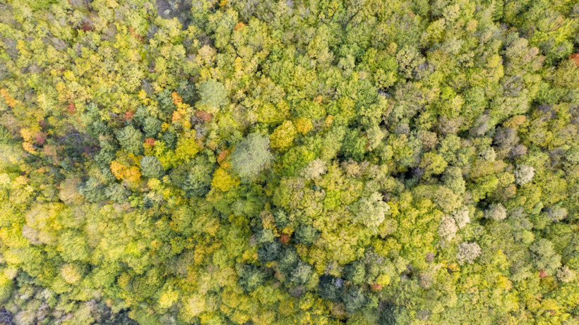 Bu yol sonbaharda bir başka - Resim: 7