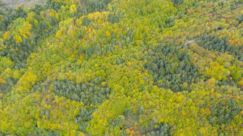 Bu yol sonbaharda bir başka - Resim: 13