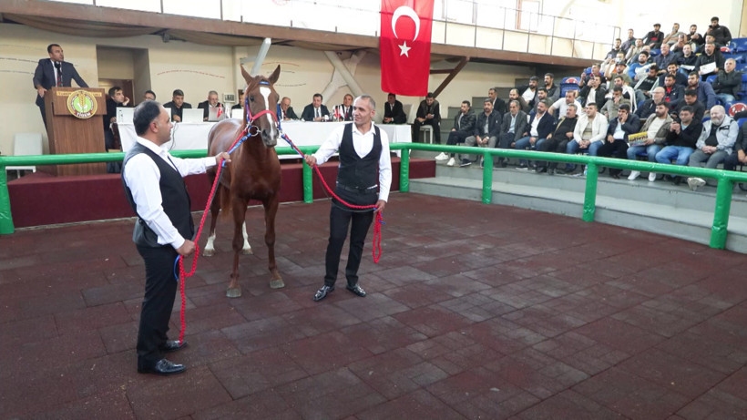 Veliefendi'de açık artırma: 'Hızlı Yasin' 10.5 milyona start aldı - Resim : 3