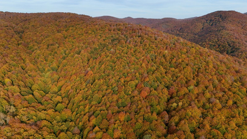 Istrancalar görenleri büyüledi - Resim: 1